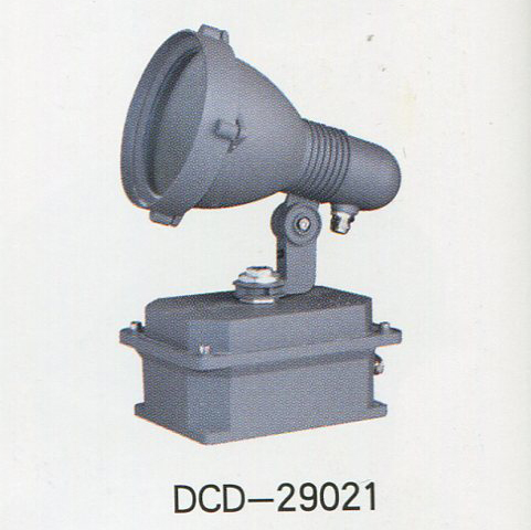 DCD-29021