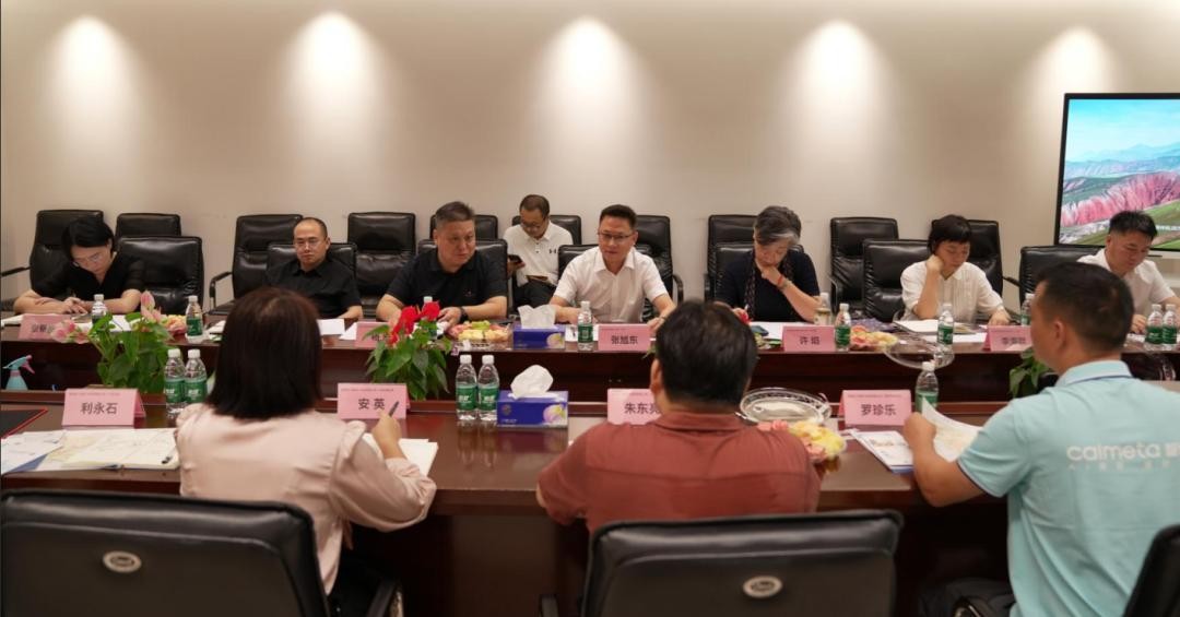 政企联动共绘AI照明新蓝图