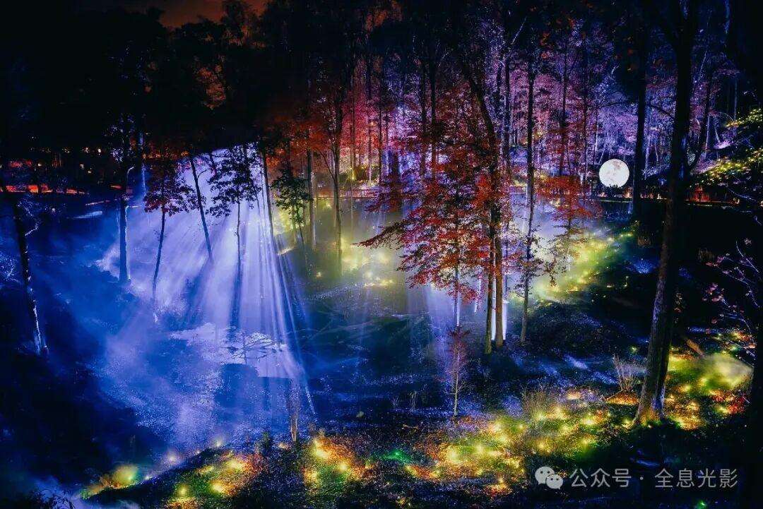 与光同行：Smoky Night Lights的四季共生照明哲学